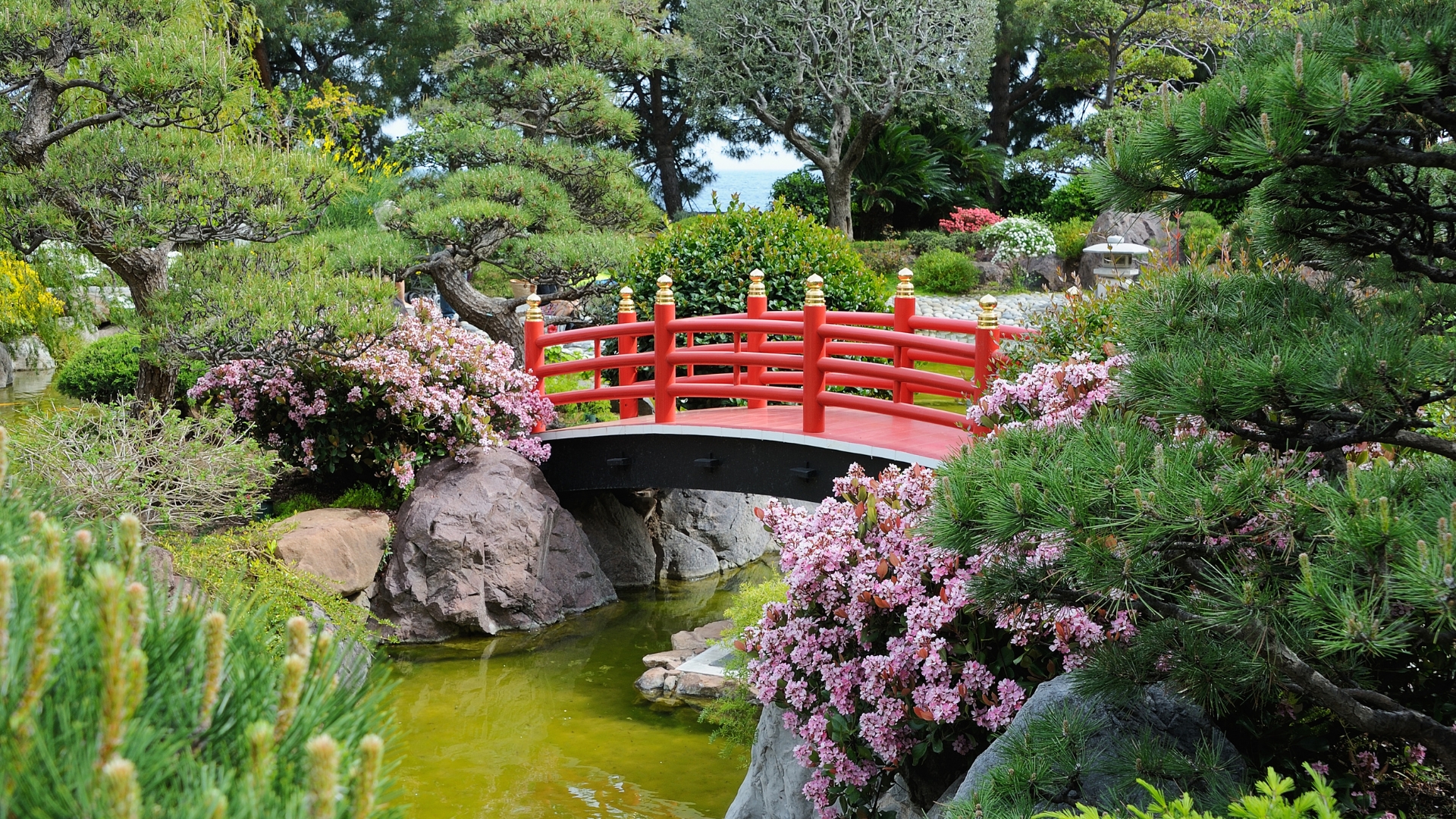 Japanese Garden