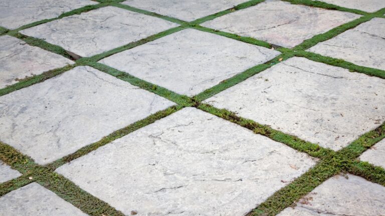 pavers