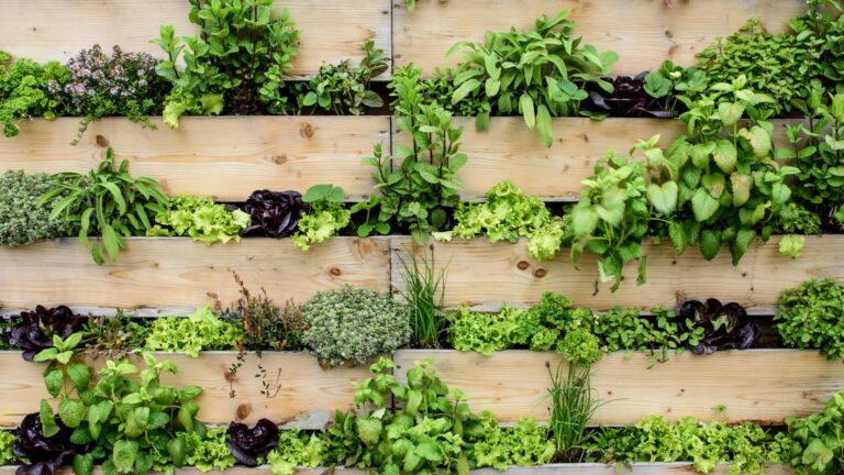 vertical gardening