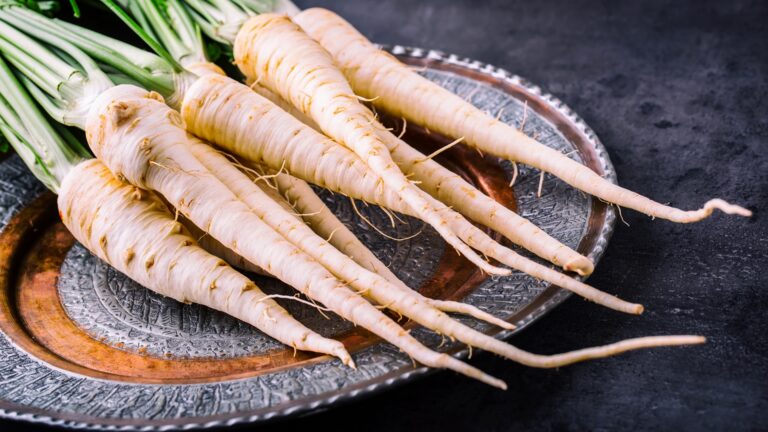 Parsnip. Fresh parsnip. Parsnip with parsley on concrete board.