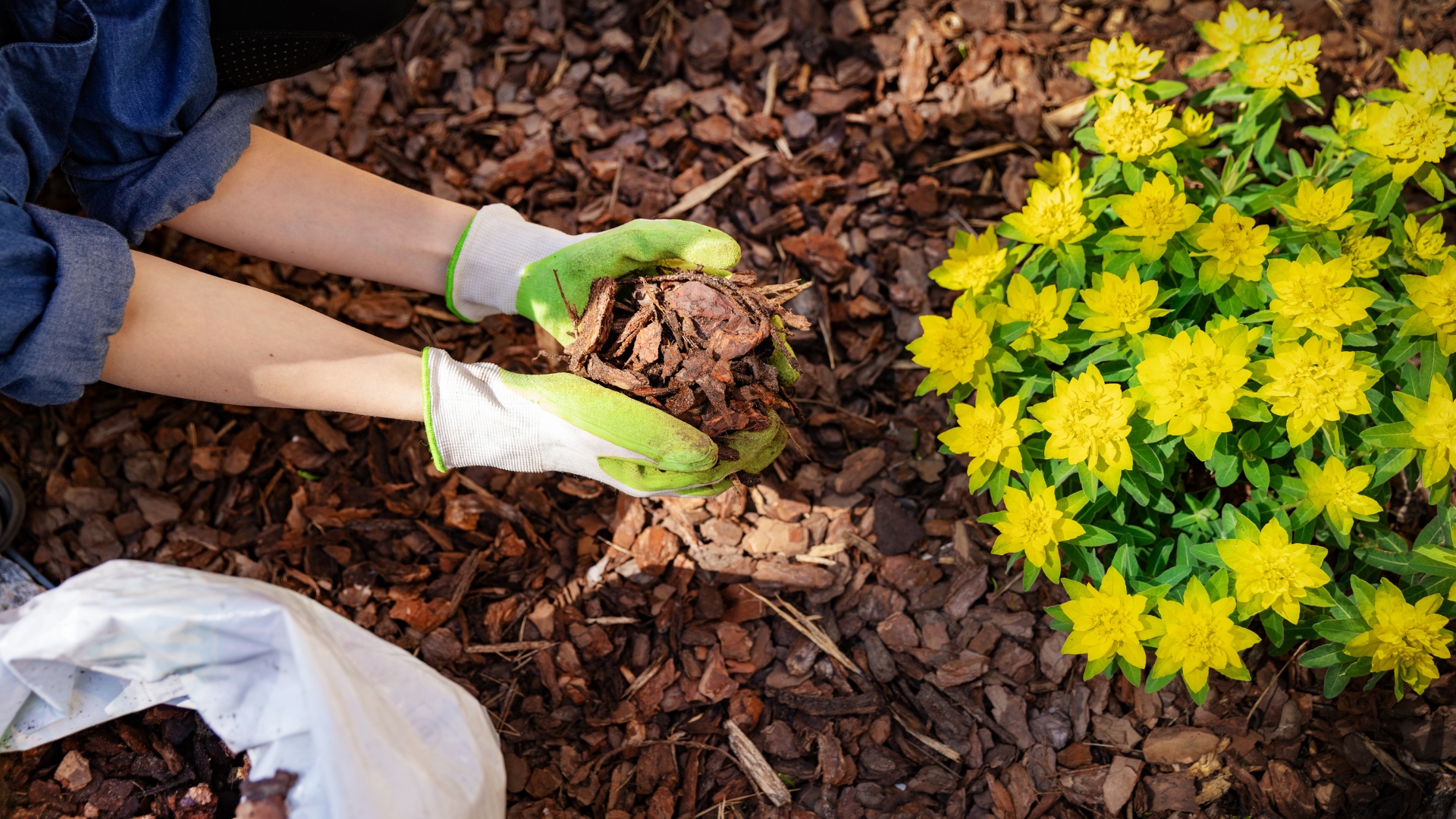 20 Ways To Use Mulch In Your Yard And Garden (And Simple Tips For Maximum Effectiveness)