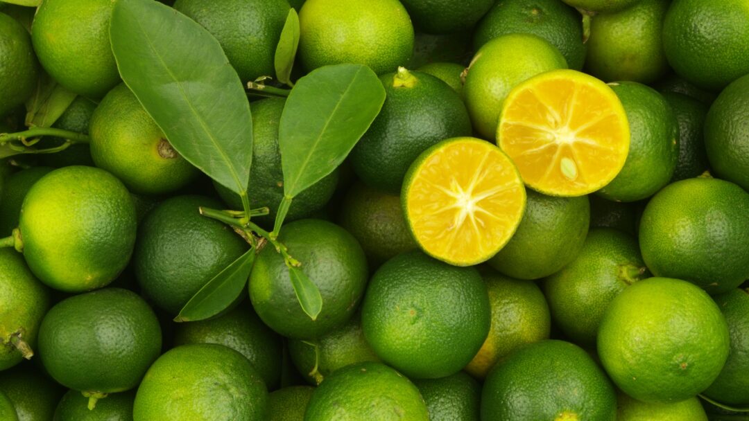 21 Expert Tips For Growing A Lime Tree Indoors (And How To Get Fresh ...