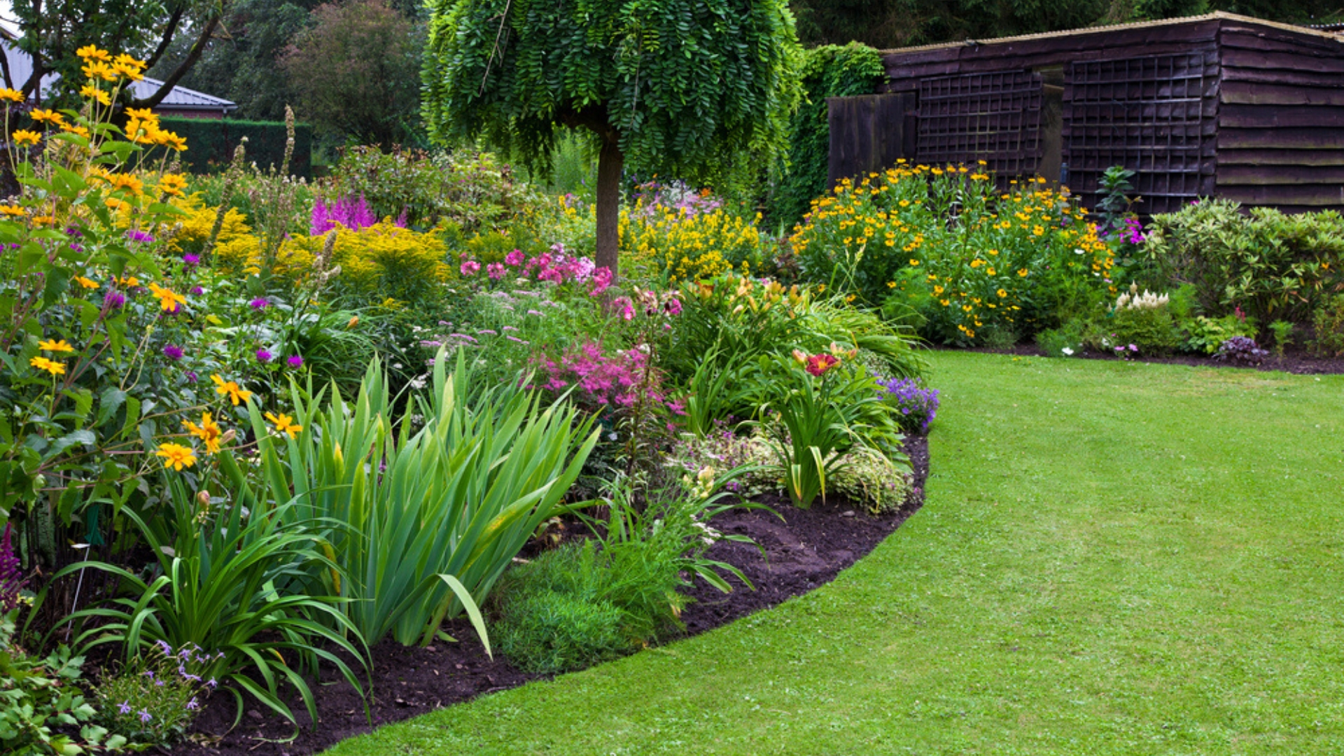 22 Filler Plants Perfect For Creating A Lush, Layered Garden That Looks Full And Vibrant (And A Few Surprises)