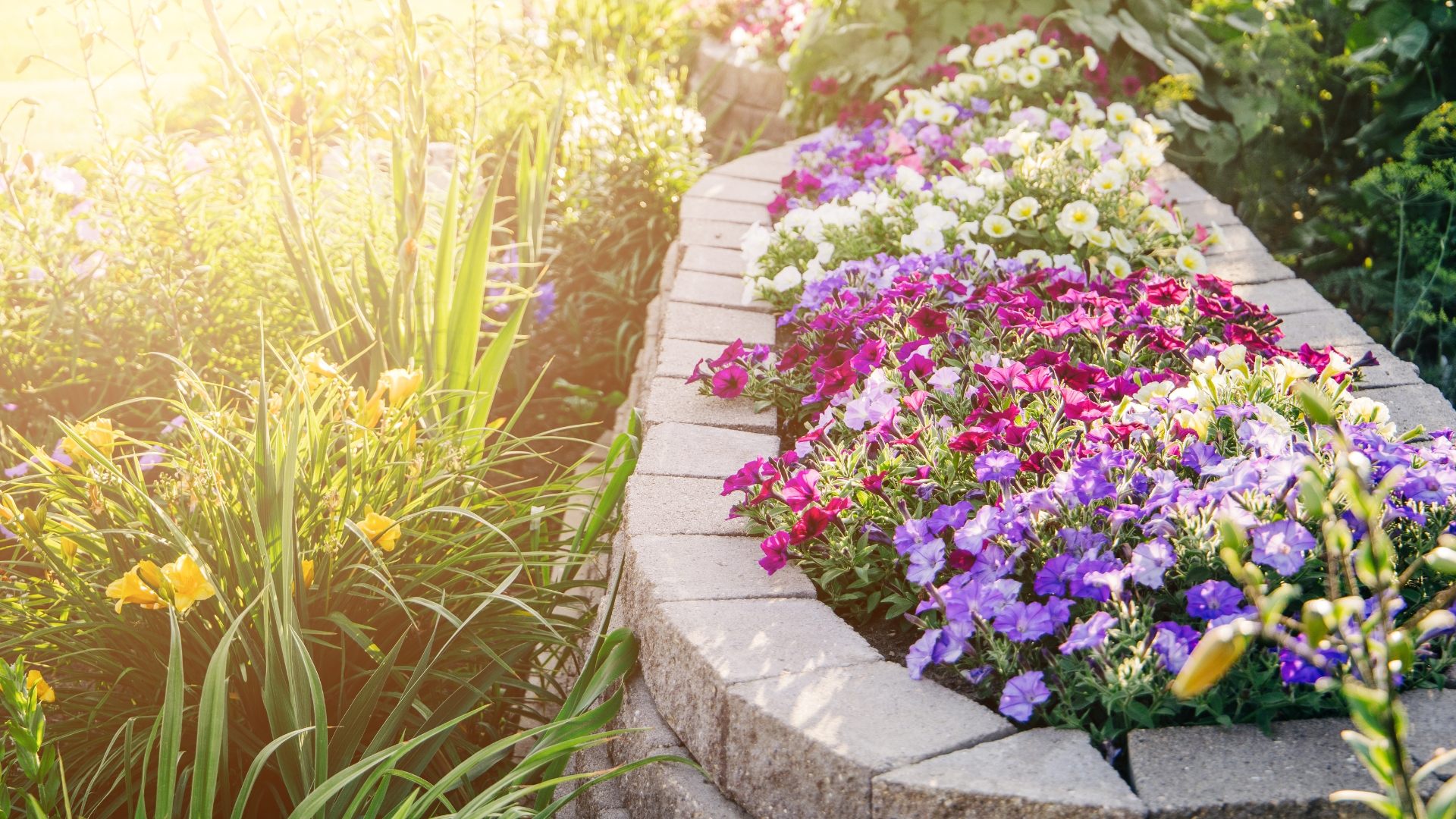 flower bed