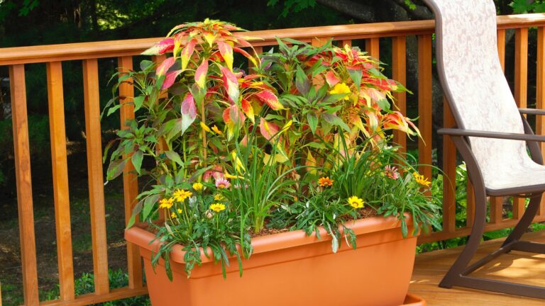 patio planter
