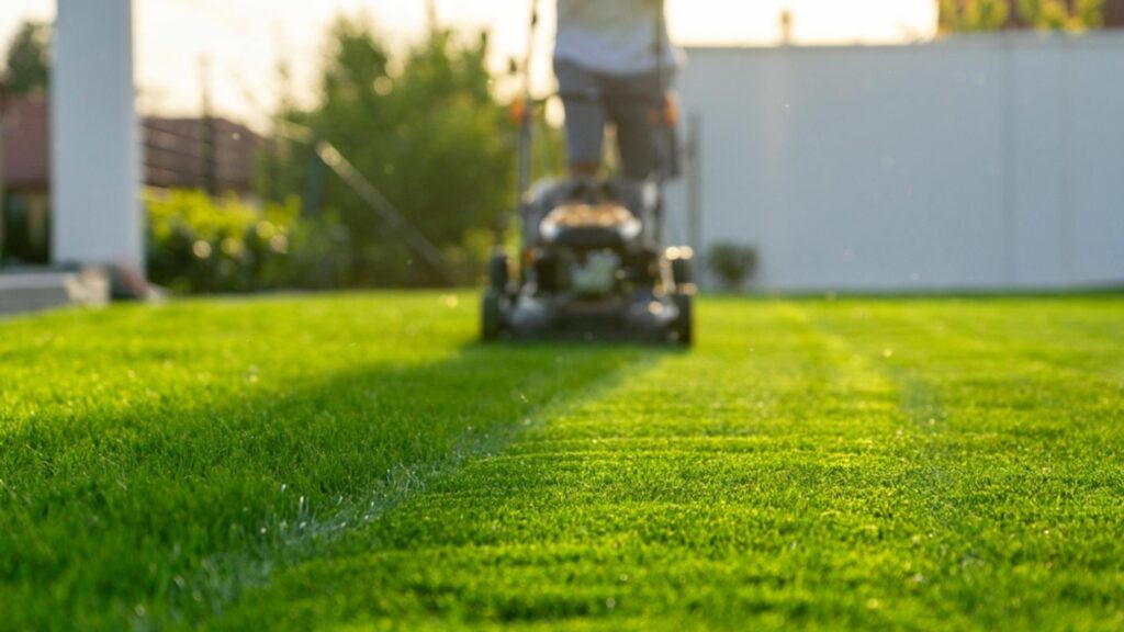 25 Ways To Refresh Your Lawn In April For A Green, Healthy Summer (And ...