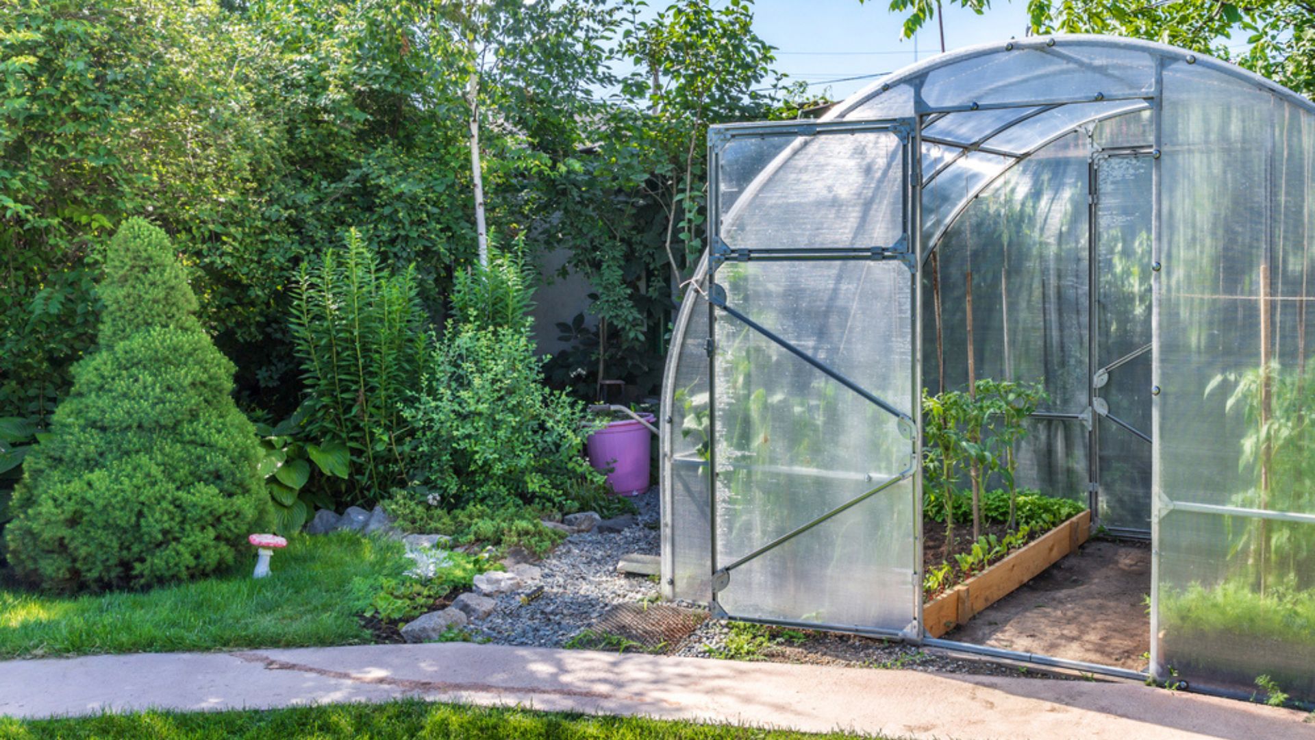 garden with greenhouse