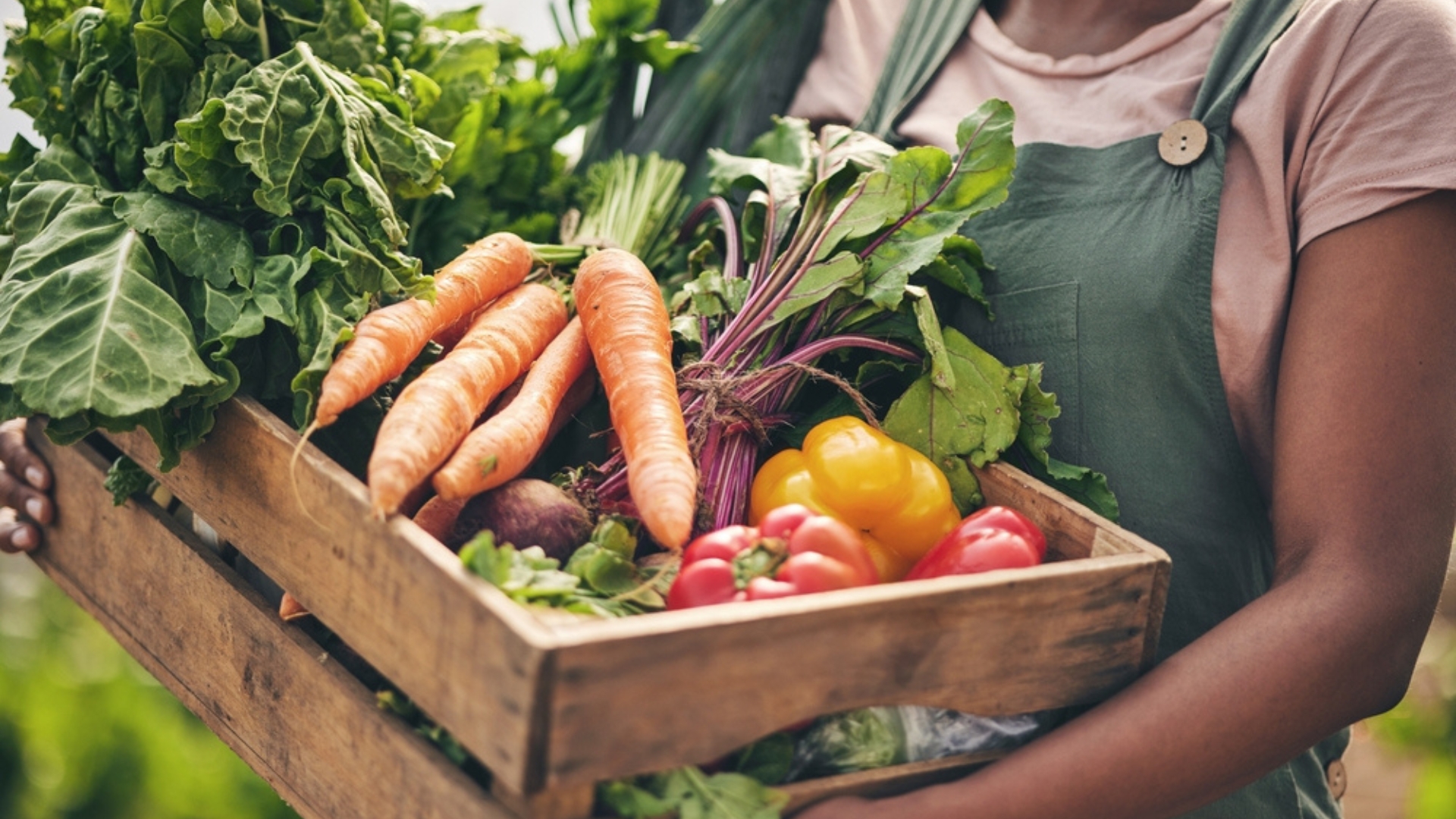 27 Essential Vegetables To Plant For A Year’s Supply (Plus A Few That Don’t Require Much Care