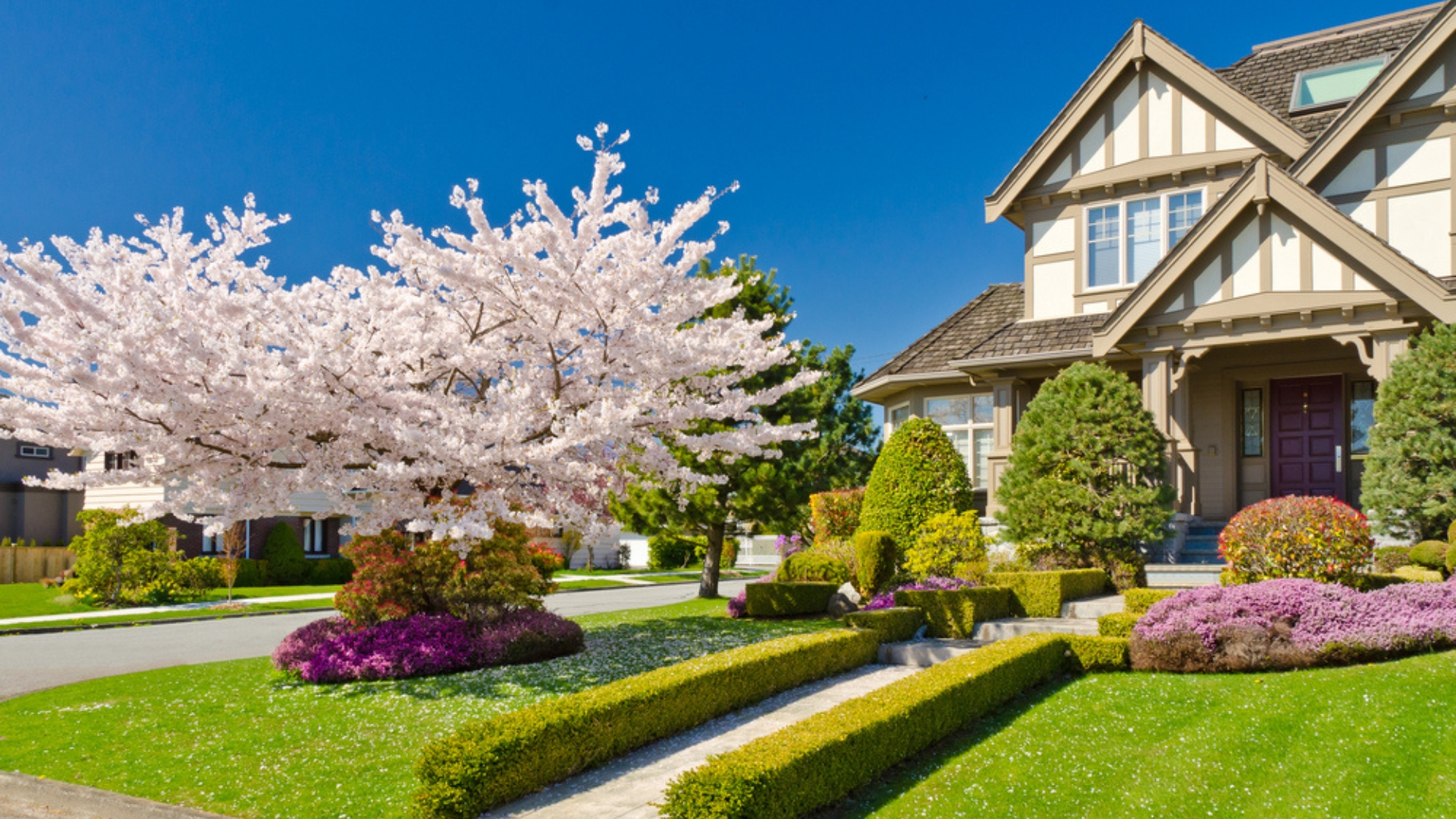 front yard landscape