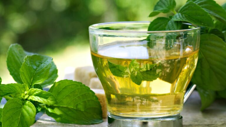 mint tea with branches