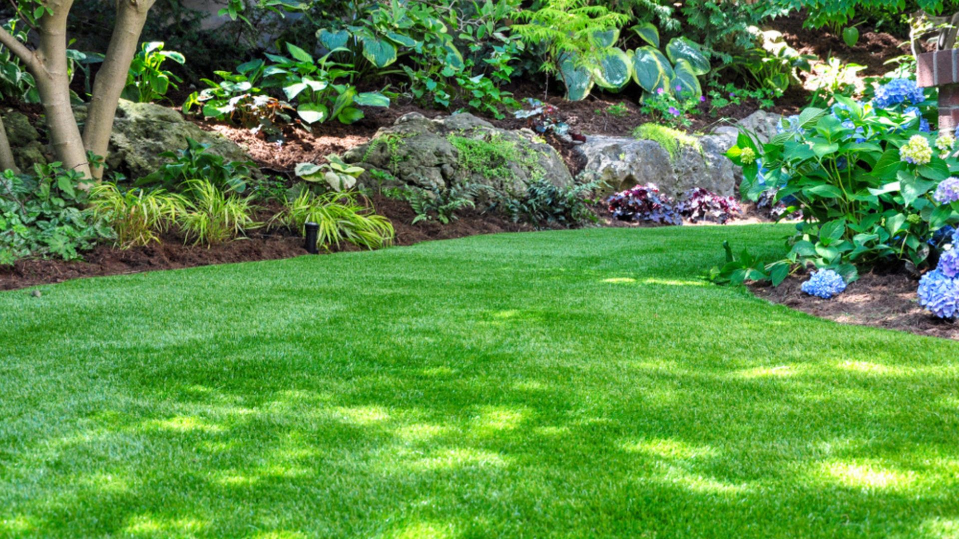 garden with artifical turf