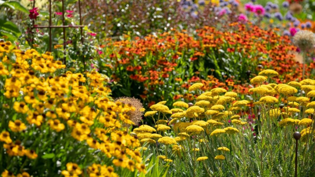 27 Ways Of Creating A Beautiful April Garden With Perennials And ...
