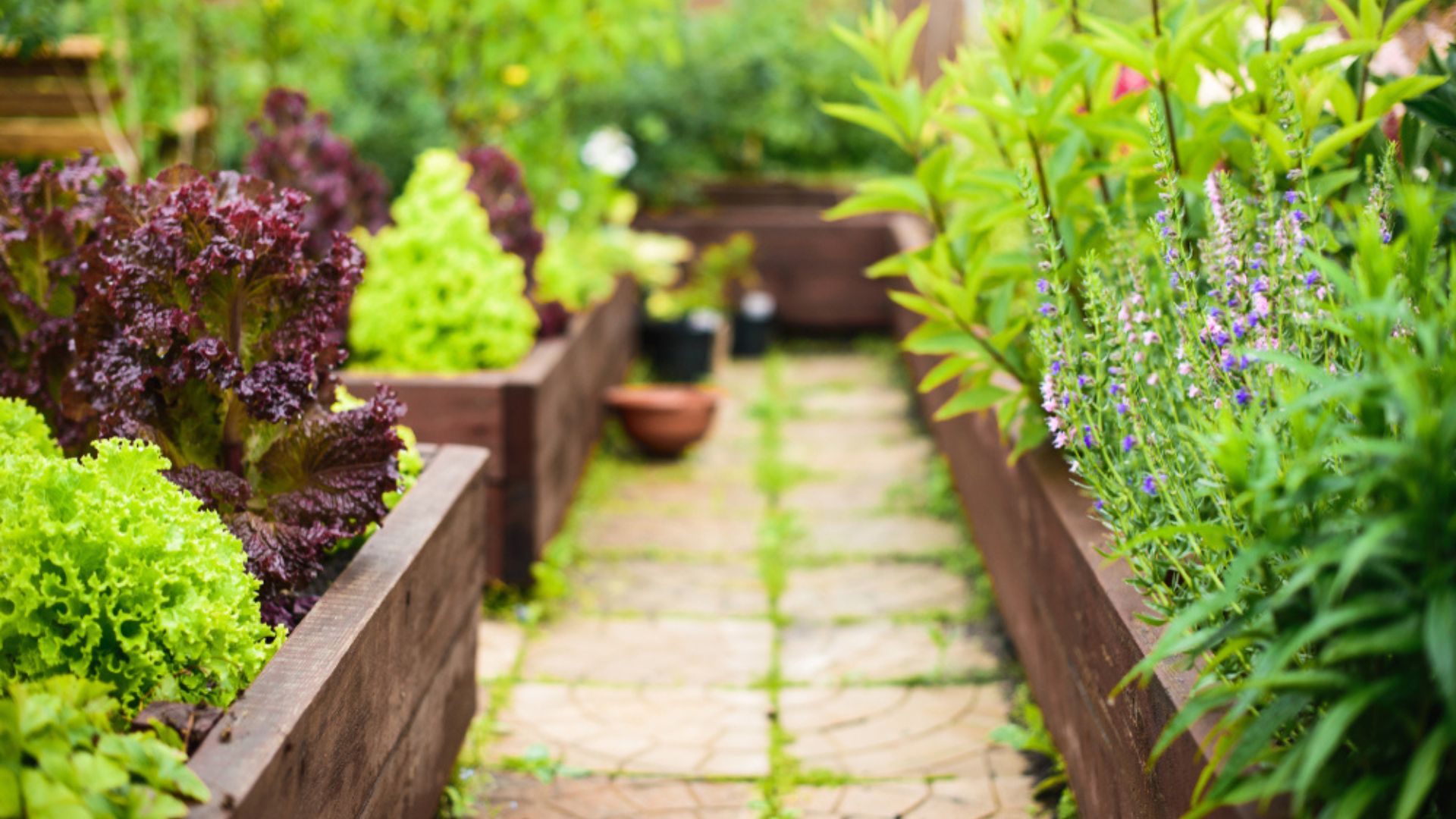 garden beds