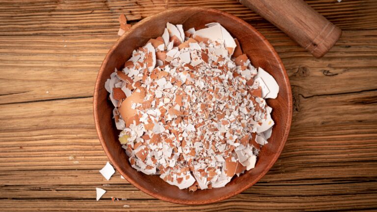 Crushed Eggshells