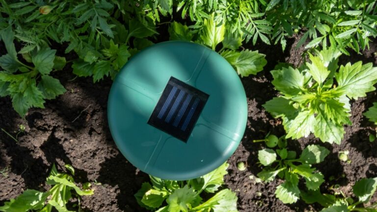 ultrasonic pest repeller