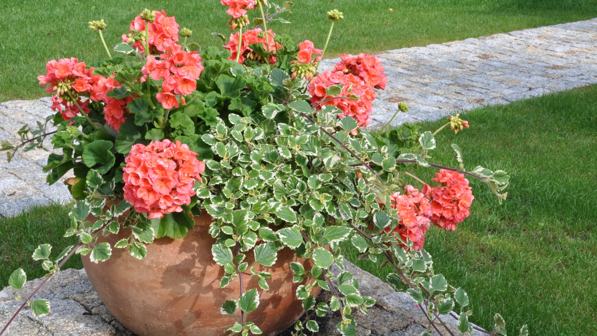 flowers