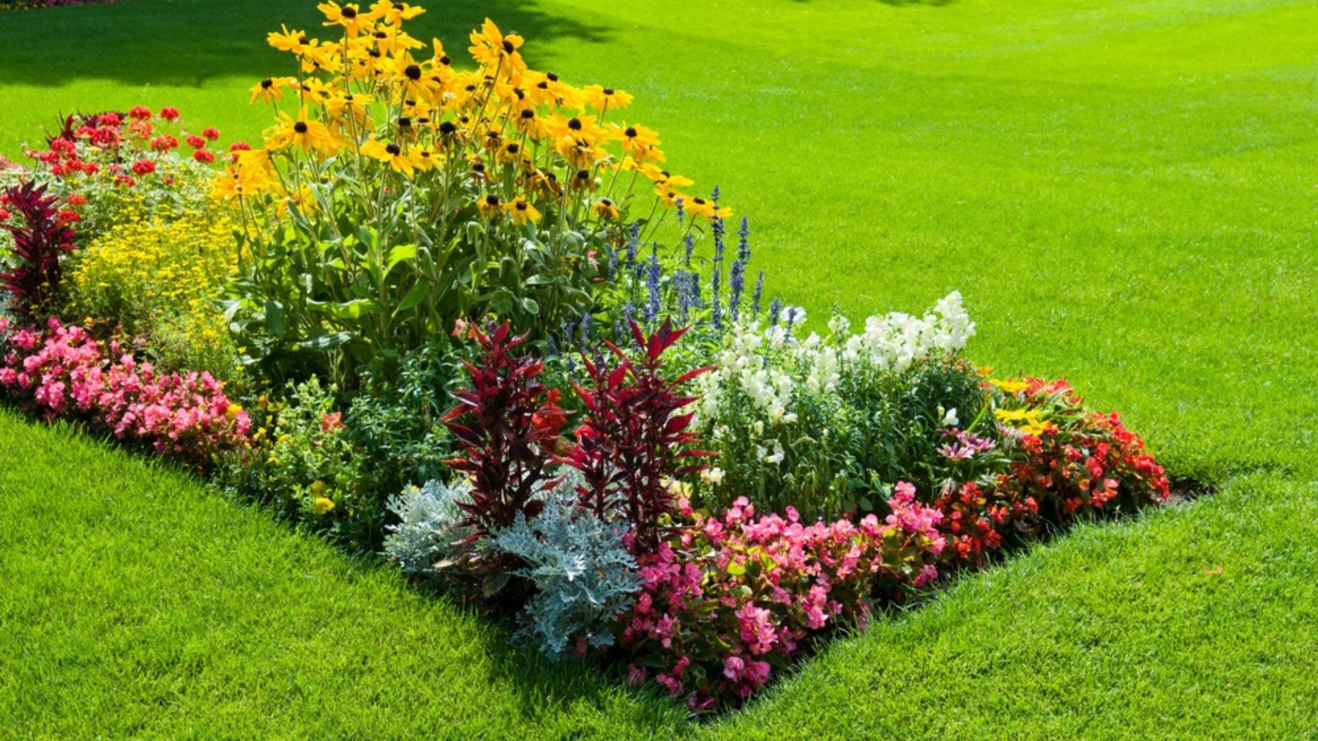 flower bed