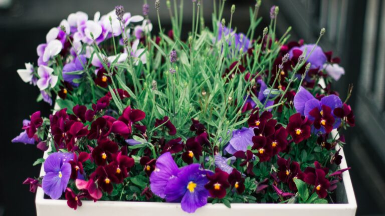 Flowers in a container
