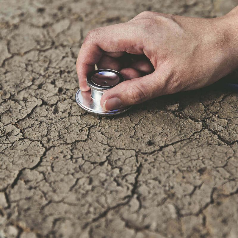 Break Down Pollutants in Soil