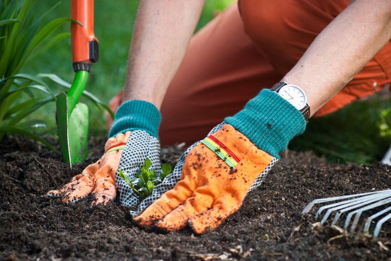 Choose Pesticide-Free Gardening Practices