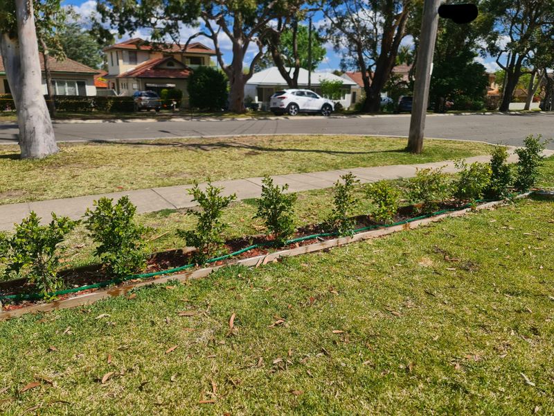 Plant a Hedge