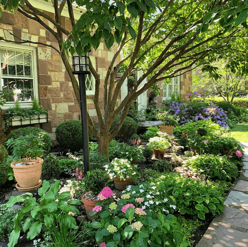 Use Shade Plants in Darker Areas