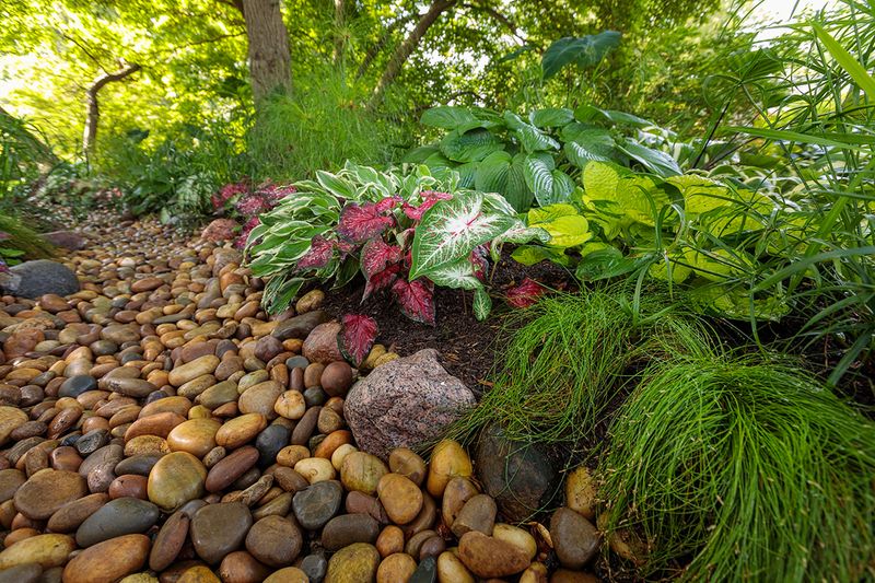 Create Small, Moist Areas in the Garden