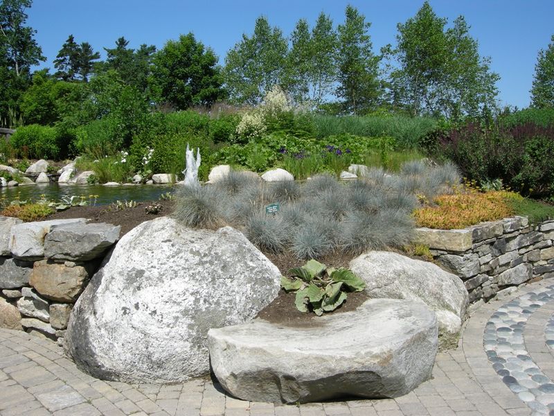 Create a rock garden