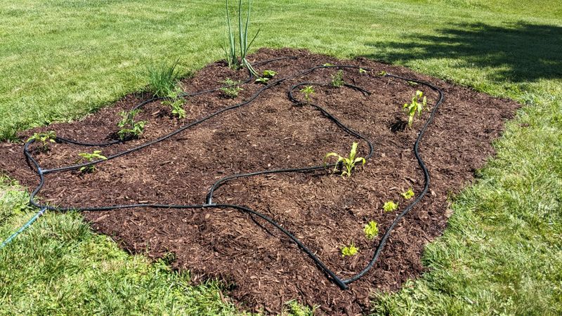 Cover The Tubing With Mulch