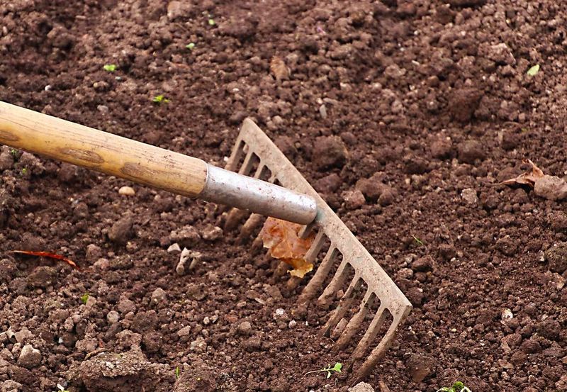 Rake the Soil to Create a Smooth Surface