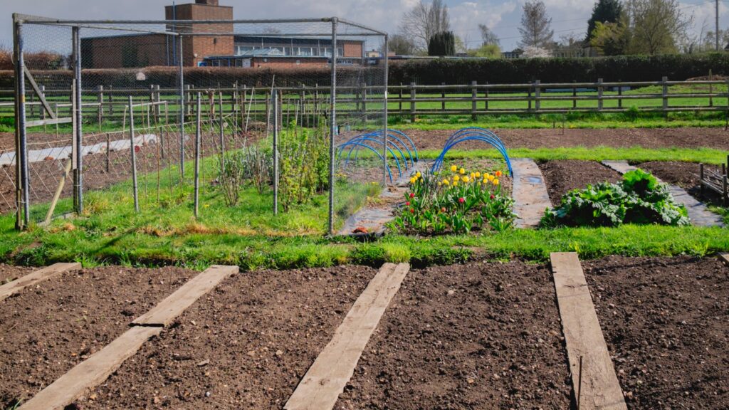allotment