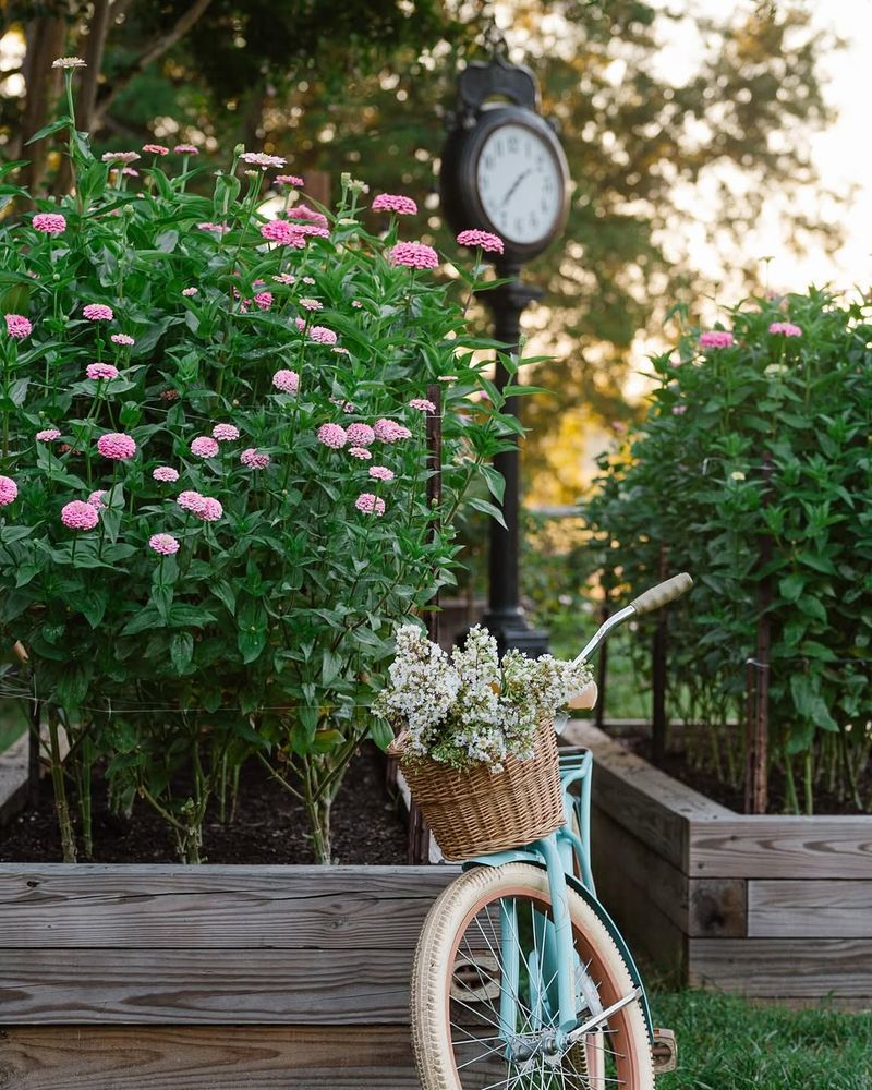 Bicycle Basket Display