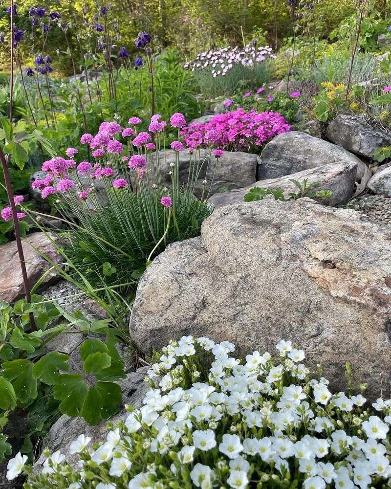 Rock Gardens