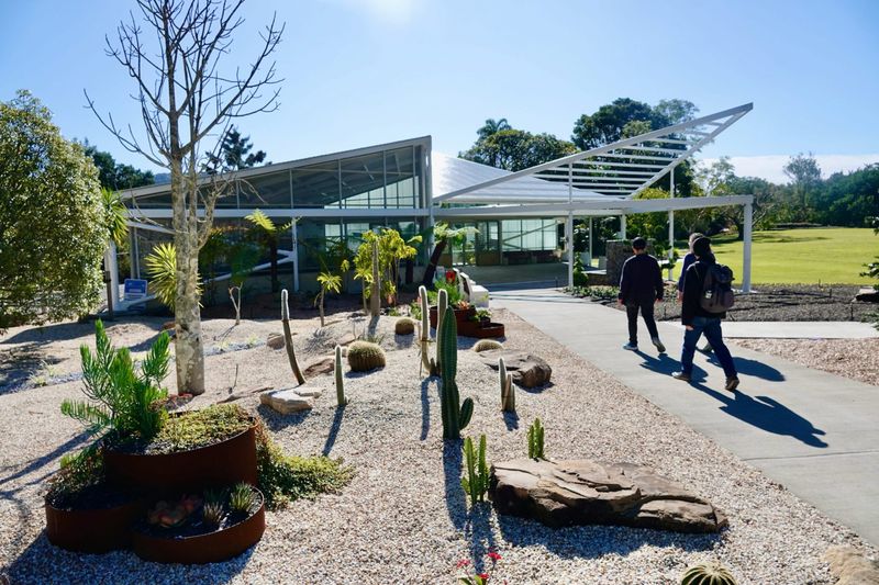 Australia For Glasshouse Rainforest Plants