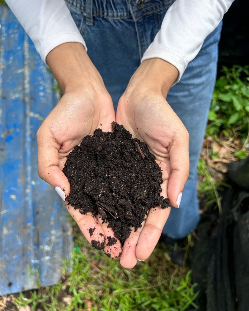 Use Organic Fertilizer for Steady Growth