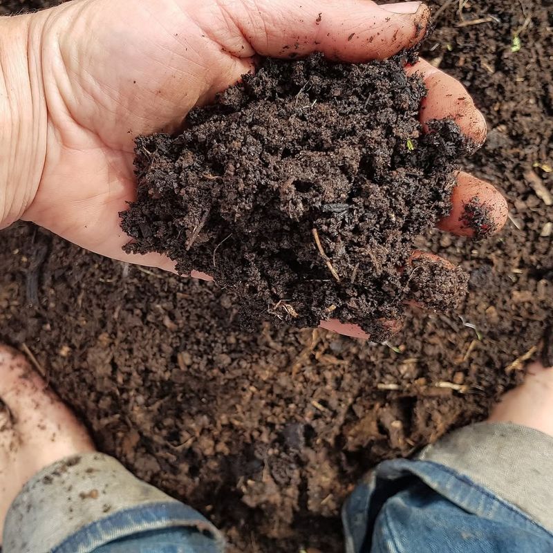 Avoid Planting in Poor Soil