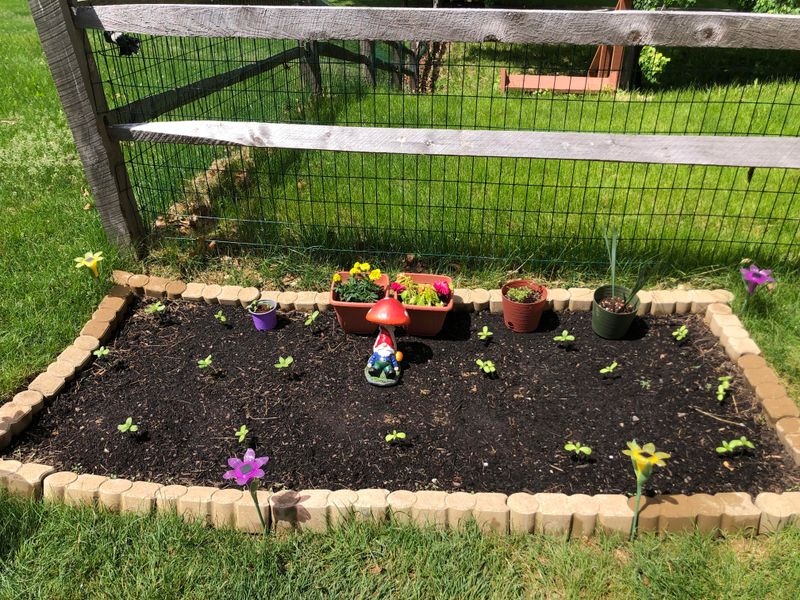 Avoid Over-Fertilizing the Soil