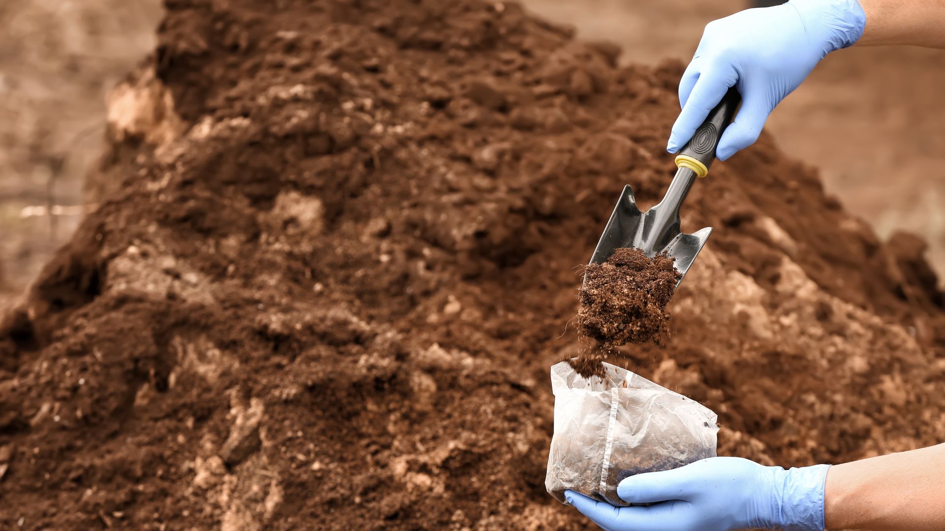 soil