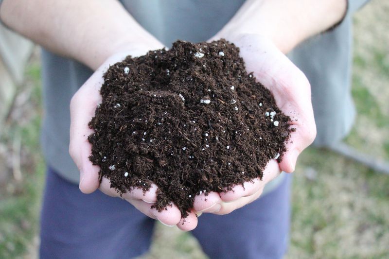 Understanding The Importance Of The Right Soil Mix