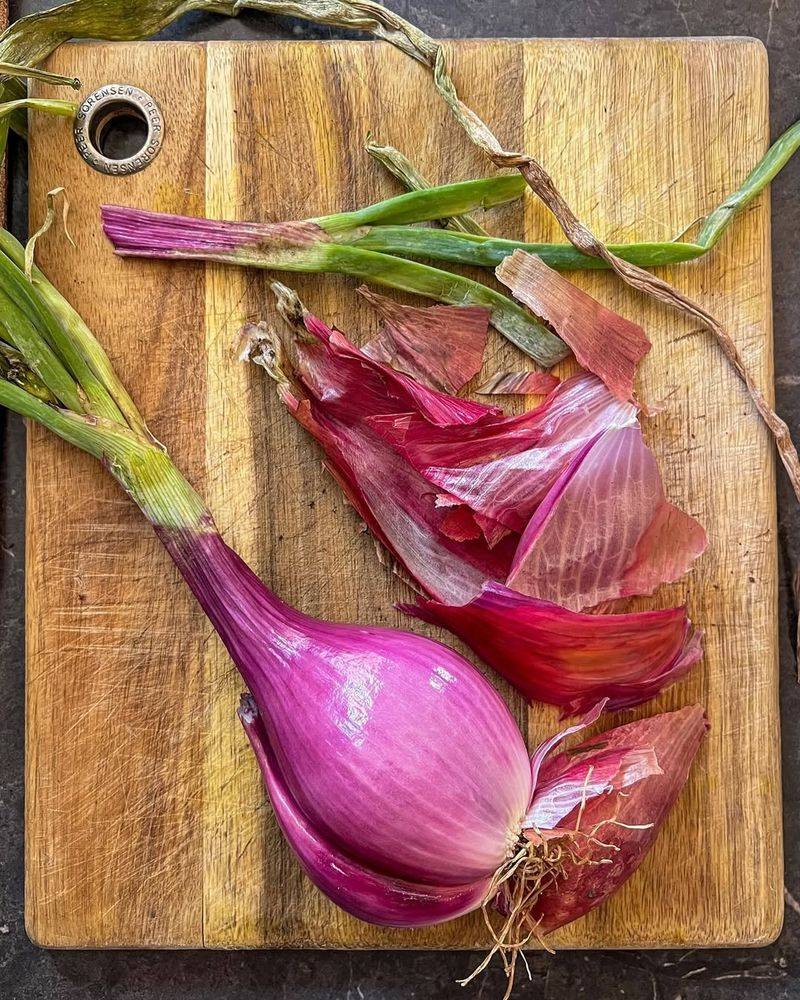 Long Red Florence Onion