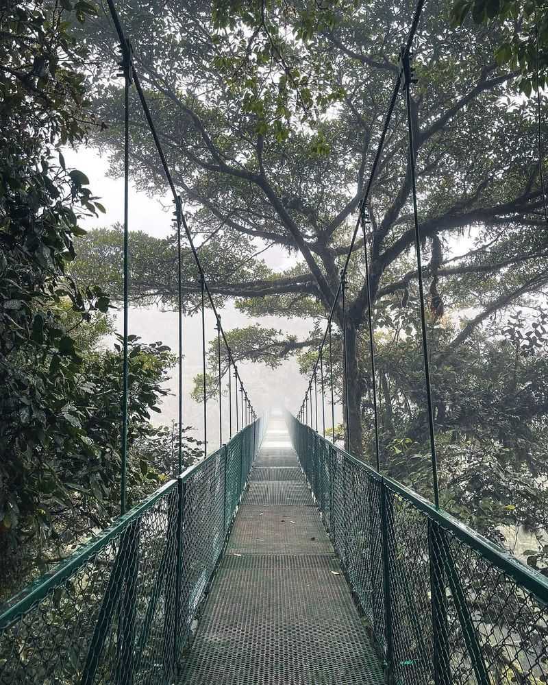 Costa Rica For Misty Cloud Forests