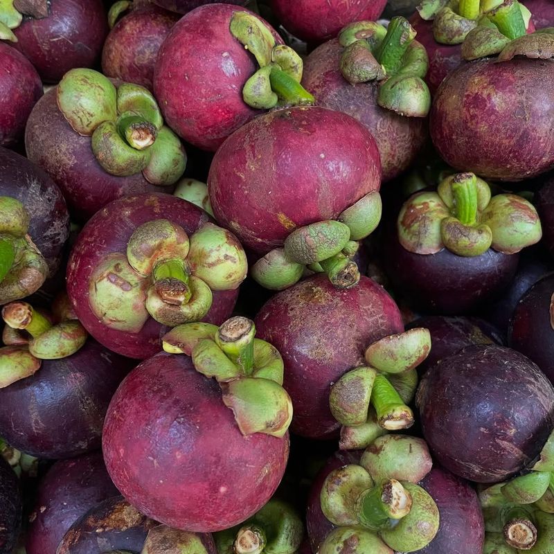 Mangosteens