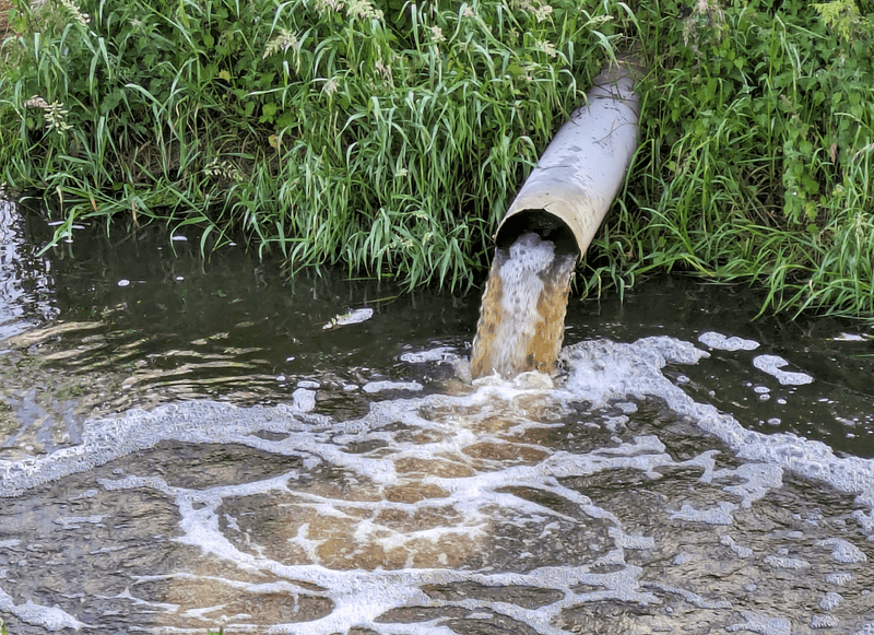 Detoxify Wastewater