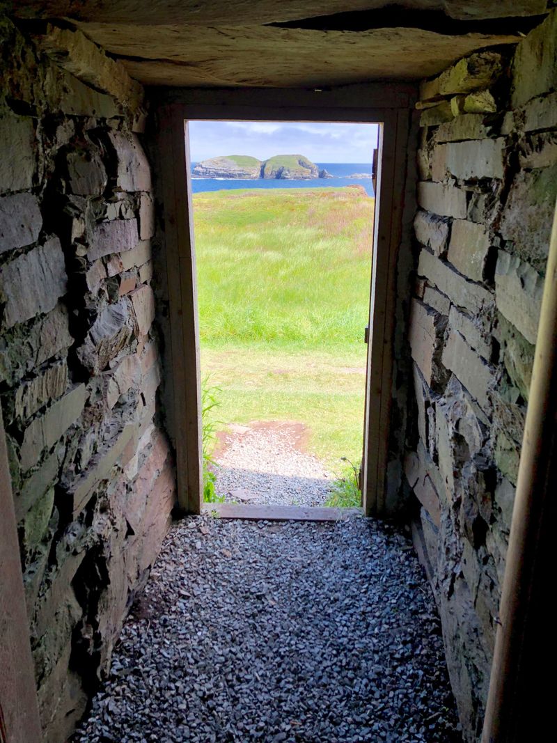 Construct a Root Cellar