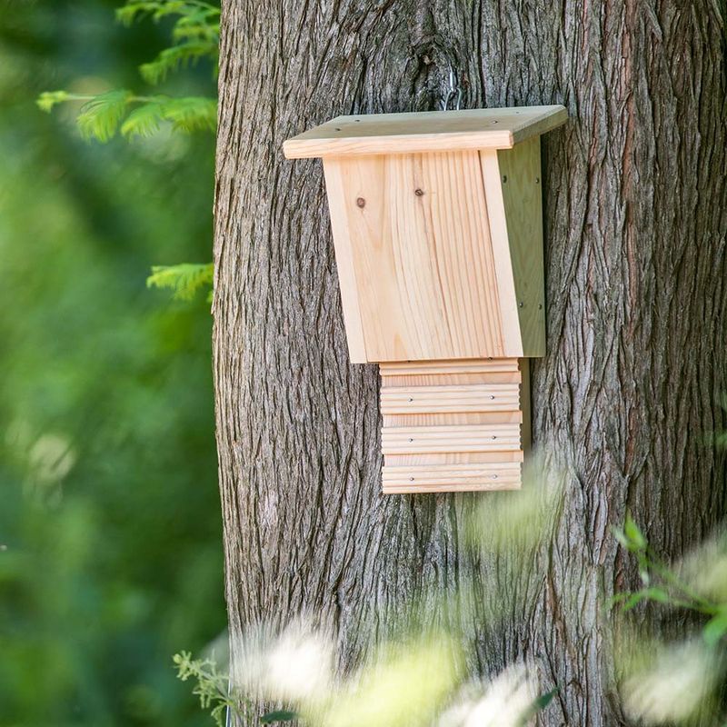 Make a Birdhouse or Bat Box