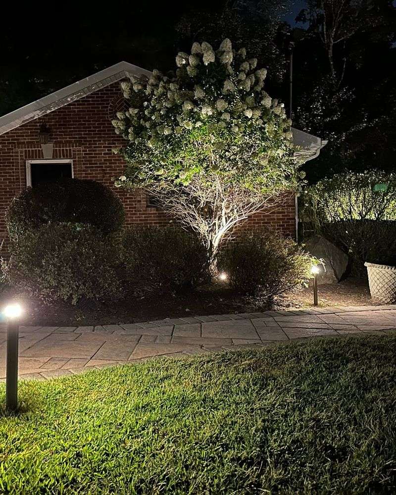 Install garden lighting