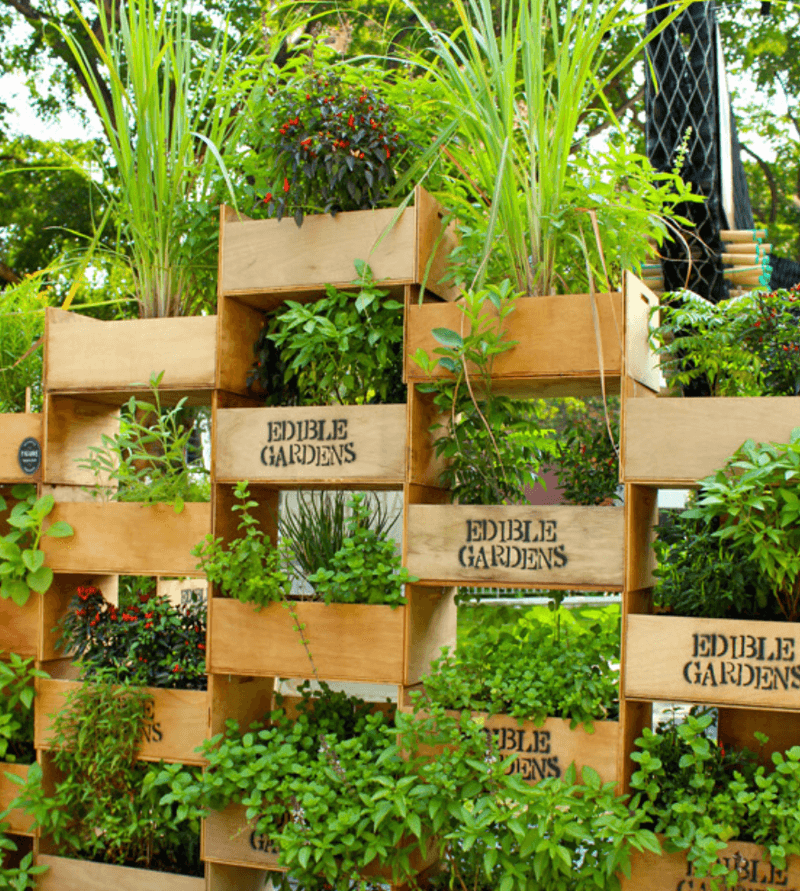 Create a vertical garden