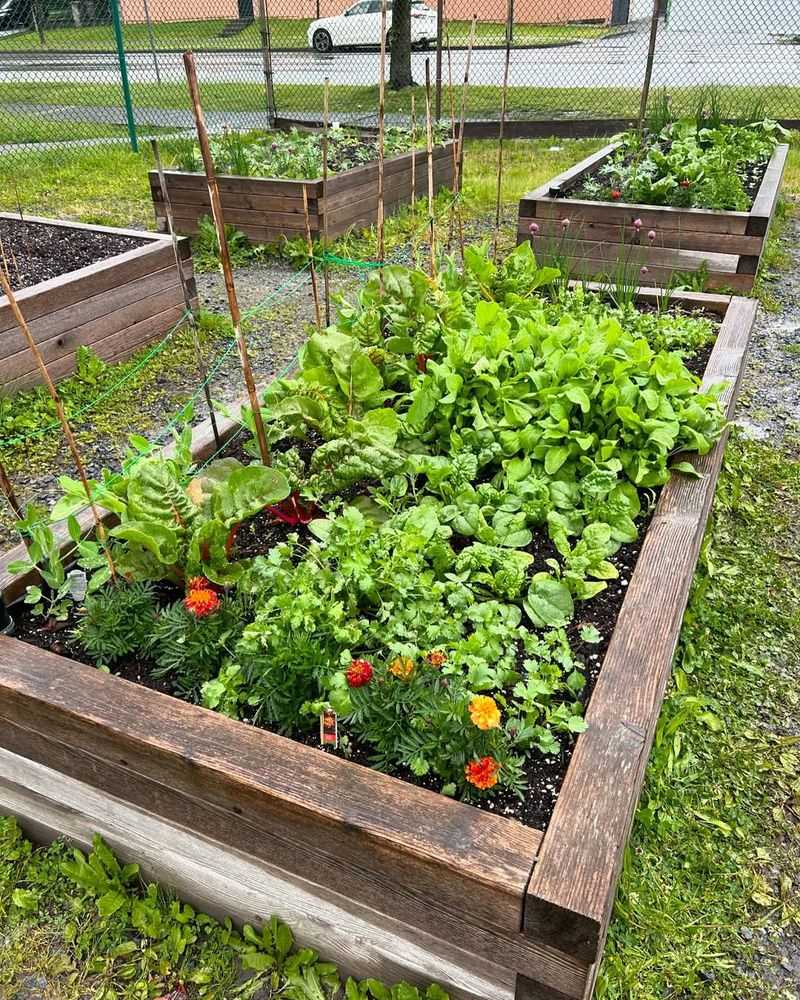 Square Foot Gardening Bed