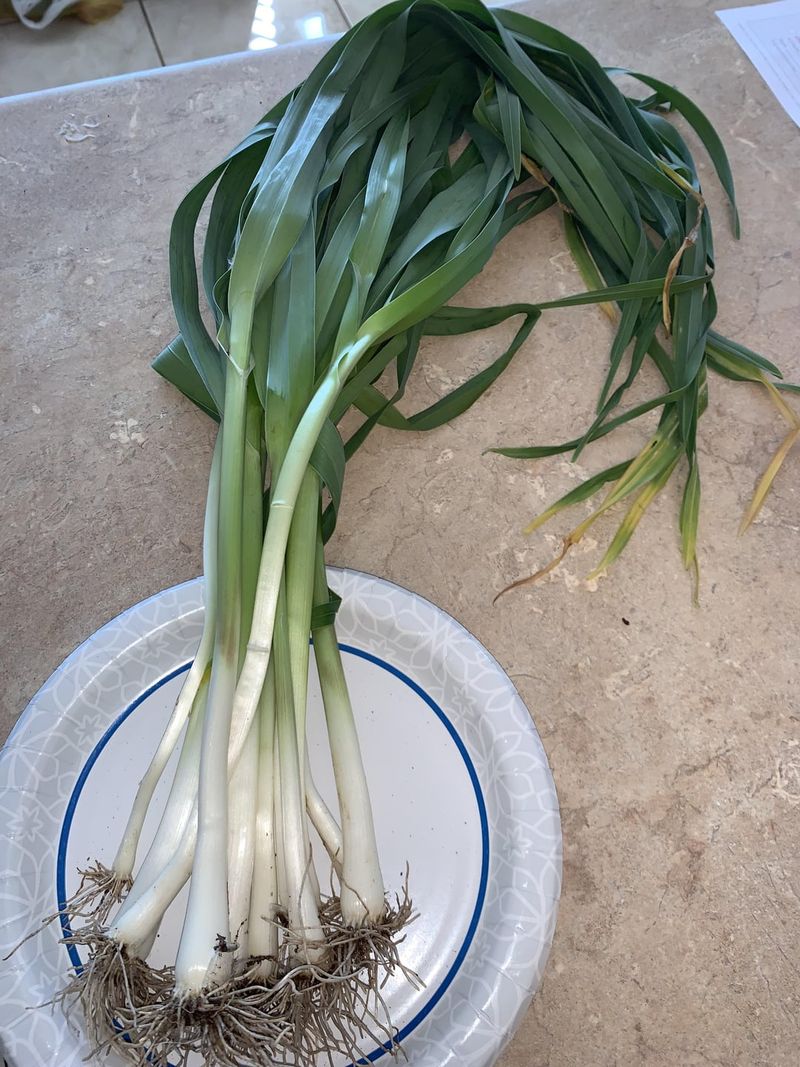 Leeks