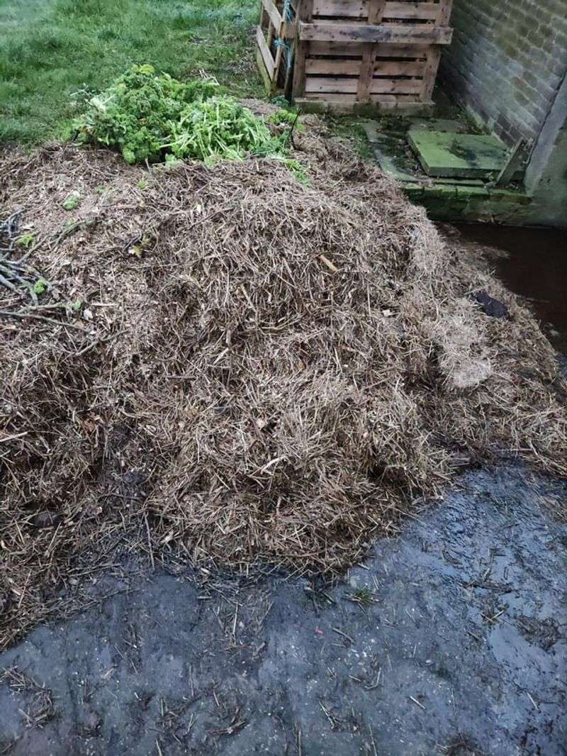 Compost Old Mulch If It’s Fully Decomposed
